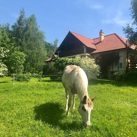 Modryna Ranczo Bed and Breakfast Krasiczyn Buitenkant foto