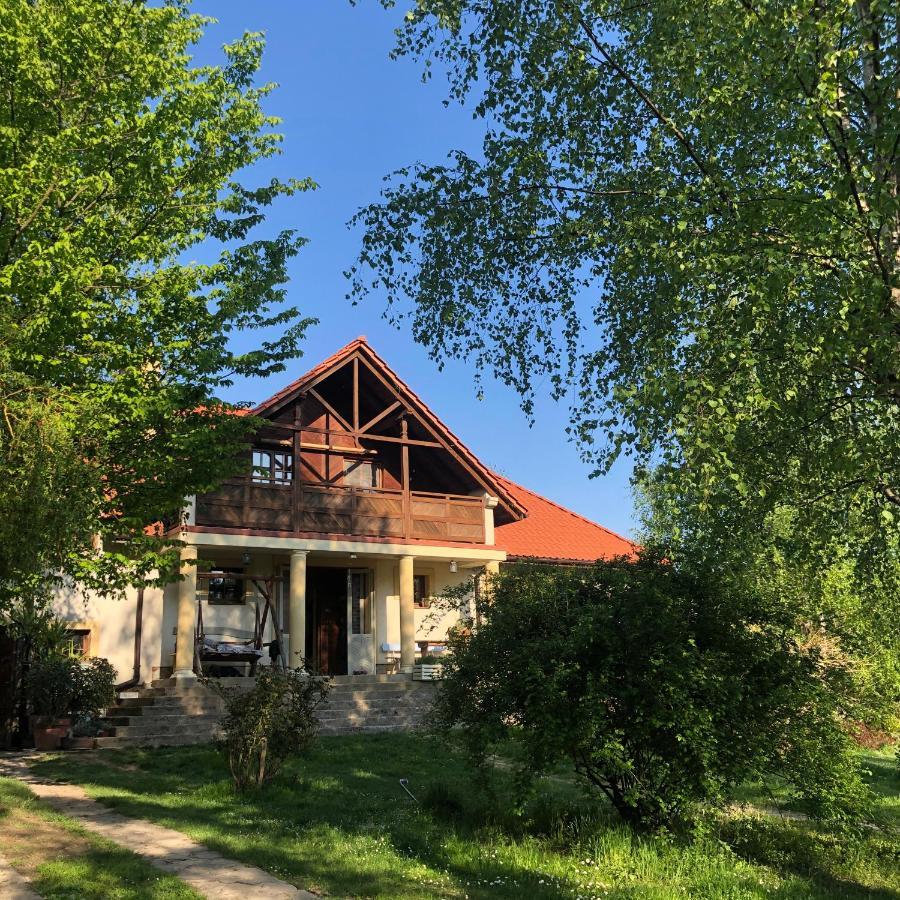 Modryna Ranczo Bed and Breakfast Krasiczyn Buitenkant foto