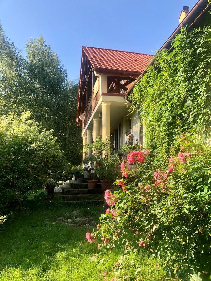 Modryna Ranczo Bed and Breakfast Krasiczyn Buitenkant foto