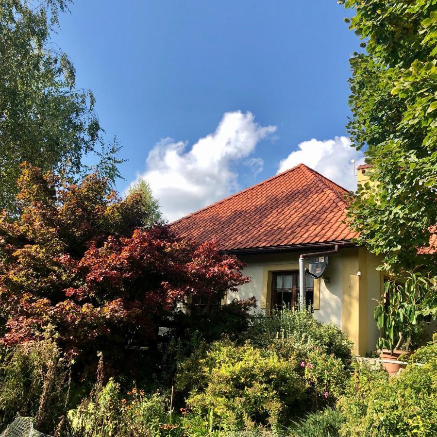 Modryna Ranczo Bed and Breakfast Krasiczyn Buitenkant foto