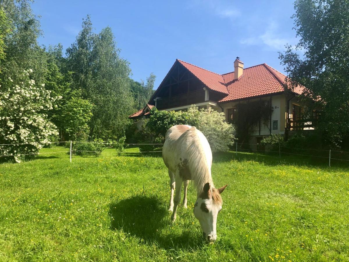 Modryna Ranczo Bed and Breakfast Krasiczyn Buitenkant foto